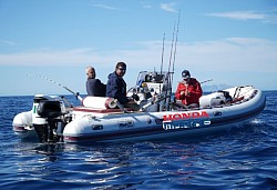 Gommone di 6,5 metri, molto veloce e pratico per le uscite che richiedono una navigazione in mare aperto, attrezzato per ospitare fino a 4 passeggeri/pescatori